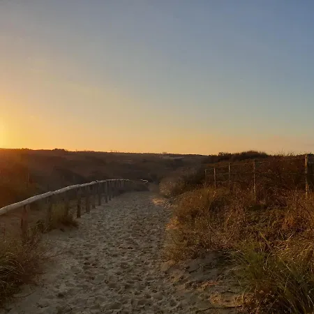 Lägenhet Little Aan Zee Noordwijk
