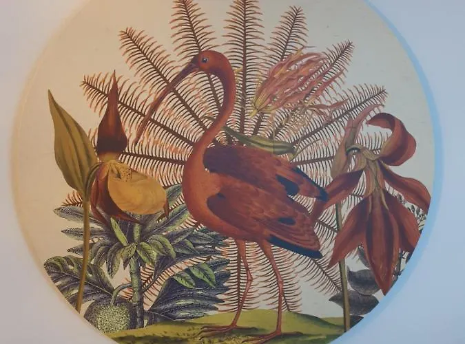 Apartment Little Aan Zee Noordwijk