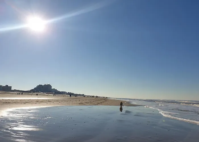 Little Aan Zee Lejlighed Noordwijk