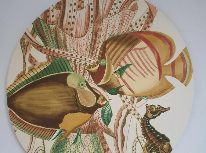 Διαμέρισμα Little Aan Zee Noordwijk