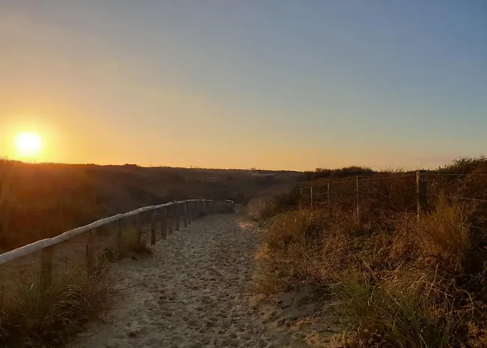 Lejlighed Little Aan Zee Noordwijk